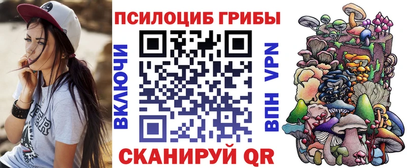 MEGA онион  Касимов  Галлюциногенные грибы MAGIC MUSHROOMS 